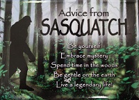   Magnet - Advice from Sasquatch